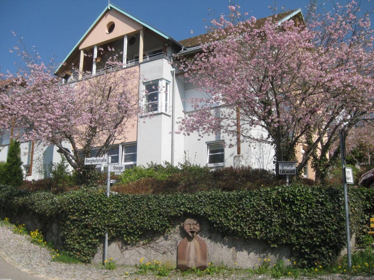 Ferienappartements-Ferienwohnung Steige Schramberg Exterior foto